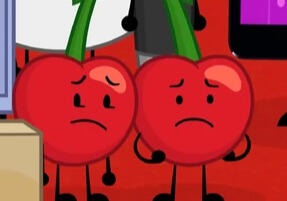 ⌜ Cherries ⌝